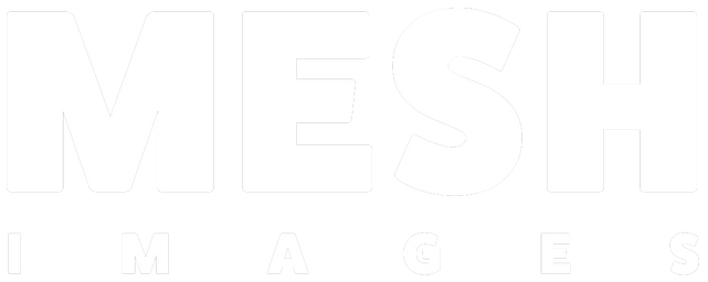 MESH IMAGES BERLIN Logo