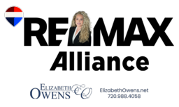 Elizabeth Owens Logo