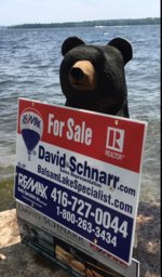  David Schnarr Profile Picture