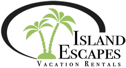 David Vannavong Logo