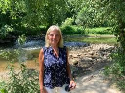 Renewed Reflection LLC Profile Picture