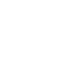 Veronica Almeida Hurtado Logo