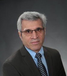 Hossein Tavakoli Profile Picture