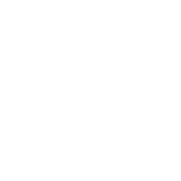 Nathan Pyle Logo