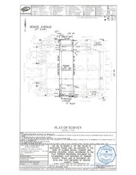 204 Venice Survey T47