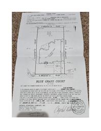 4211 Blue Grass Survey T47