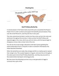 Gulf Fritillary Butterfly Info